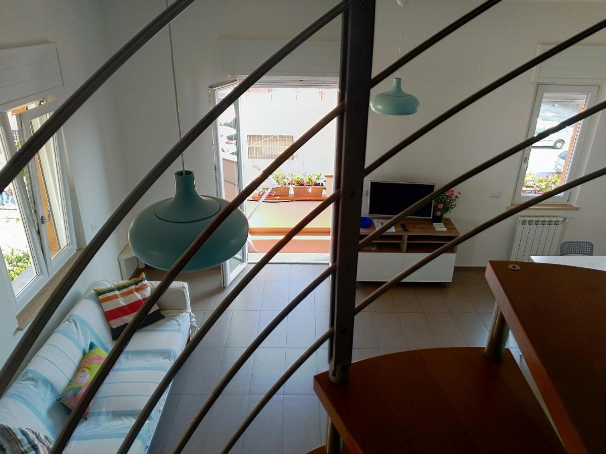 Apartment Big